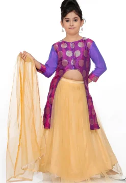 Woven Banarasi Silk Lehenga in Purple Dual Tone