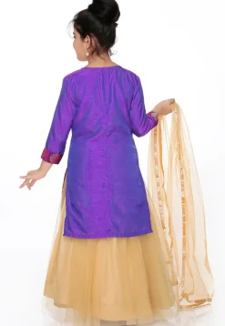 Woven Banarasi Silk Lehenga in Purple Dual Tone