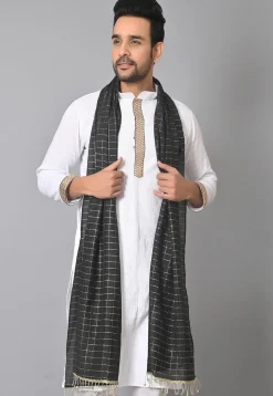 Woven Chanderi Cotton Dupatta in Black