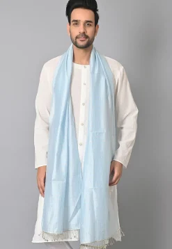 Woven Chanderi Cotton Dupatta in Pastel Blue