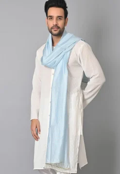 Woven Chanderi Cotton Dupatta in Pastel Blue
