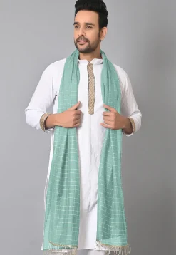 Woven Chanderi Cotton Men Dupatta in Sea Green