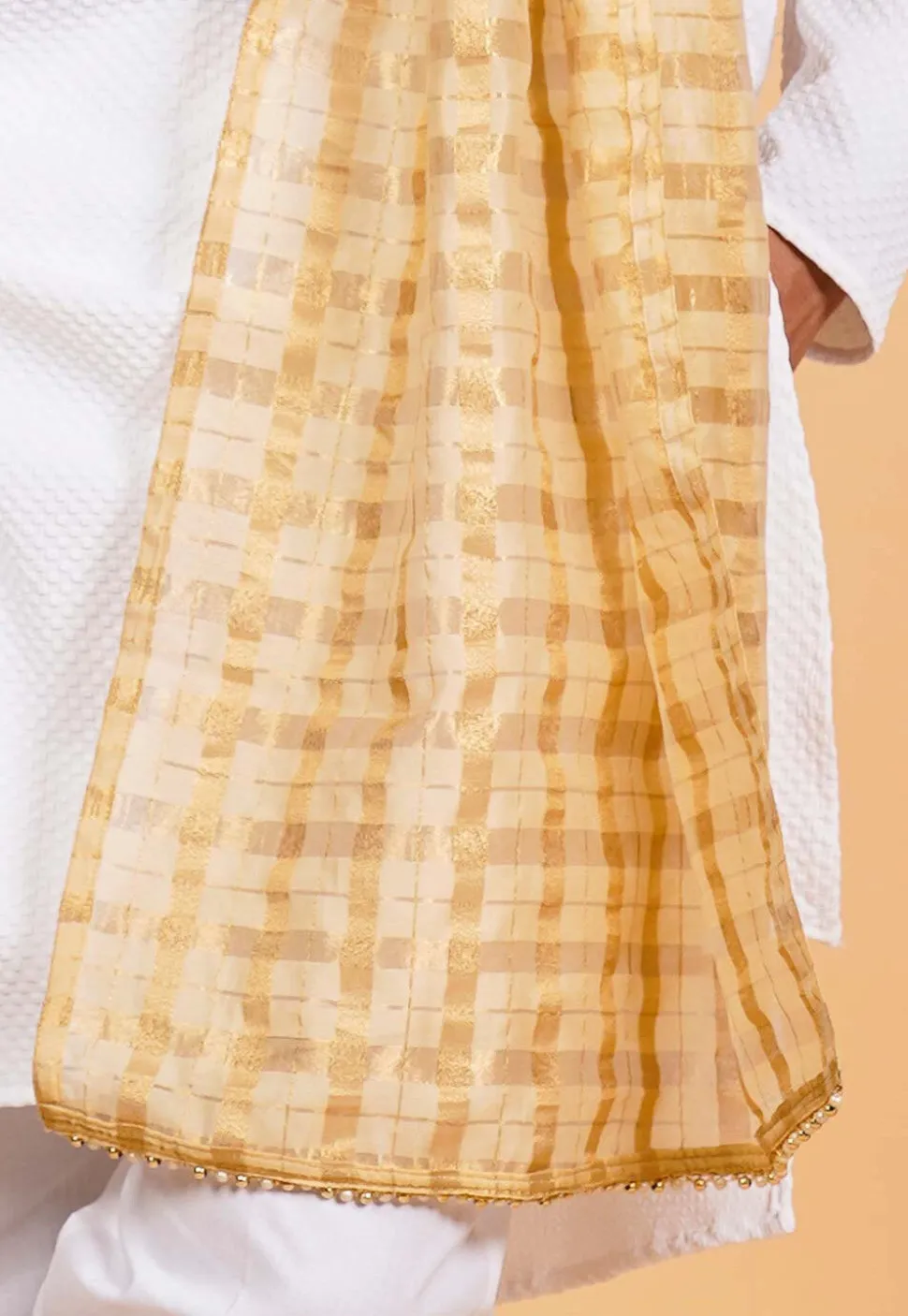 Woven Chanderi Silk Men Dupatta in Beige