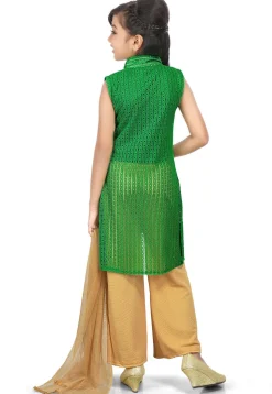 Woven Net Jacquard Pakistani Suit in Green