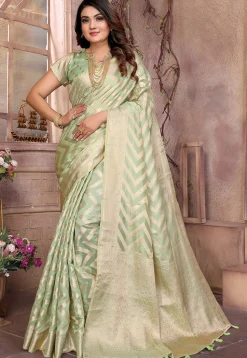 Woven Organza Saree in Light Green
