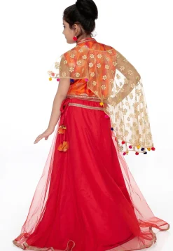 Woven Shimmer Net Lehenga in Red